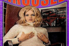 Rank-Favorite-Vinyl-Cover-Shit-Art-Vol.1-029