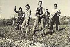 Rank-Favorite-Vinyl-Cover-Shit-Art-Vol.1-034