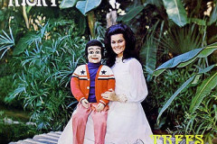 Rank-Favorite-Vinyl-Cover-Shit-Art-Vol.1-042