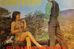 Rank-Favorite-Vinyl-Cover-Shit-Art-Vol.1-060