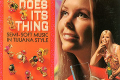 Rank-Favorite-Vinyl-Cover-Shit-Art-Vol.1-068