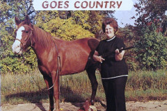 Rank-Favorite-Vinyl-Cover-Shit-Art-Vol.1-080