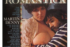 Rank-Favorite-Vinyl-Cover-Shit-Art-Vol.1-094