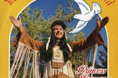 Rank-Favorite-Vinyl-Cover-Shit-Art-Vol.1-095