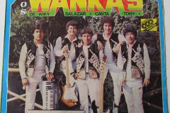 Rank-Favorite-Vinyl-Cover-Shit-Art-Vol.1-096