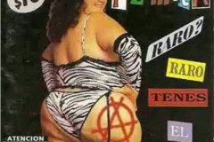 Rank-Favorite-Vinyl-Cover-Shit-Art-Vol.1-119