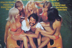 Rank-Favorite-Vinyl-Cover-Shit-Art-Vol.1-120