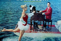 Rank-Favorite-Vinyl-Cover-Shit-Art-Vol.1-173