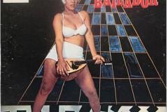 Rank-Favorite-Vinyl-Cover-Shit-Art-Vol.1-213