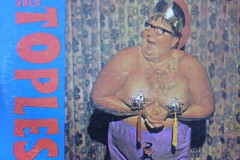 Rank-Favorite-Vinyl-Cover-Shit-Art-Vol.1-217