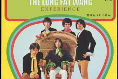 Rank-Favorite-Vinyl-Cover-Shit-Art-Vol.1-245