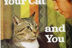 Rank-Favorite-Vinyl-Cover-Shit-Art-Vol.1-261