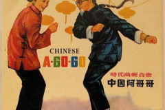 Rank-Favorite-Vinyl-Cover-Shit-Art-Vol.1-265