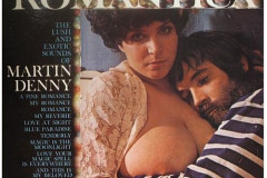 Rank-Favorite-Vinyl-Cover-Shit-Art-Vol.1-274