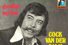 Rank-Favorite-Vinyl-Cover-Shit-Art-Vol.1-279