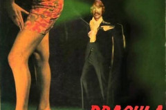 Rank-Favorite-Vinyl-Cover-Shit-Art-Vol.1-312