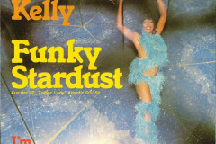 Rank-Favorite-Vinyl-Cover-Shit-Art-Vol.1-359