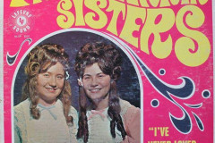 Rank-Favorite-Vinyl-Cover-Shit-Art-Vol.1-367