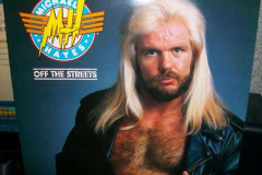 Rank-Favorite-Vinyl-Cover-Shit-Art-Vol.1-403