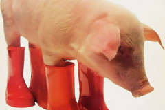 Rank-Favorite-Vinyl-Cover-Shit-Art-Vol.1-413